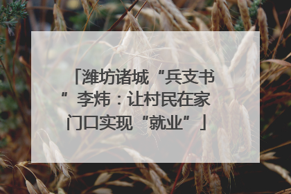 潍坊诸城“兵支书”李炜：让村民在家门口实现“就业”