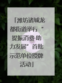 潍坊诸城龙都街道举行“提振消费·助力发展”首批示范单位授牌活动