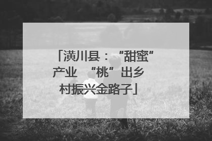潢川县：“甜蜜”产业  “桃”出乡村振兴金路子