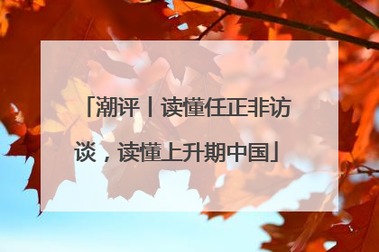 潮评丨读懂任正非访谈，读懂上升期中国