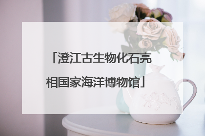 澄江古生物化石亮相国家海洋博物馆