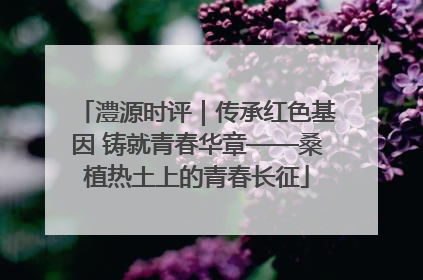 澧源时评｜传承红色基因 铸就青春华章——桑植热土上的青春长征