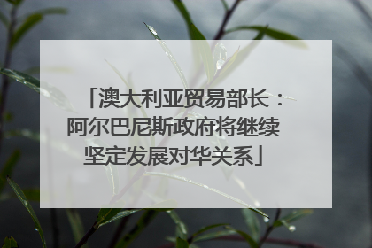 澳大利亚贸易部长：阿尔巴尼斯政府将继续坚定发展对华关系