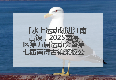水上运动划进江南古镇，2025南浔区第五届运动会暨第七届南浔古镇桨板公开赛启动