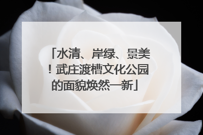 水清、岸绿、景美！武庄渡槽文化公园的面貌焕然一新