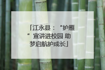 江永县：“护雁”宣讲进校园 助梦启航护成长