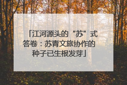 江河源头的“苏”式答卷：苏青文旅协作的种子已生根发芽