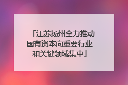 江苏扬州全力推动国有资本向重要行业和关键领域集中