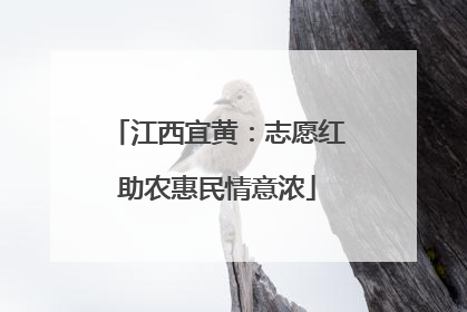 江西宜黄：志愿红助农惠民情意浓