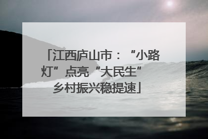 江西庐山市：“小路灯”点亮“大民生” 乡村振兴稳提速