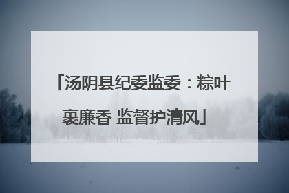 汤阴县纪委监委：粽叶裹廉香 监督护清风