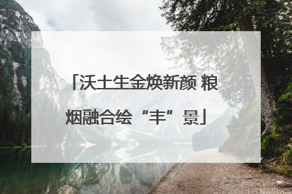 沃土生金焕新颜 粮烟融合绘“丰”景