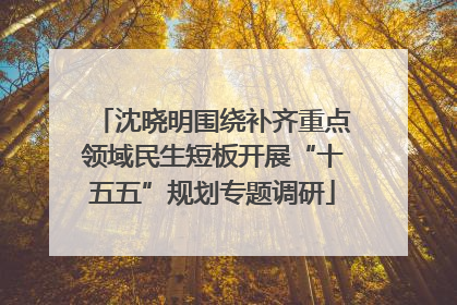 沈晓明围绕补齐重点领域民生短板开展“十五五”规划专题调研