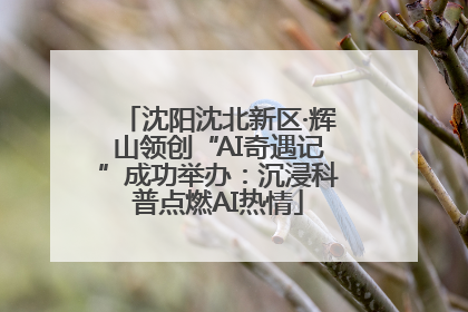 沈阳沈北新区·辉山领创“AI奇遇记”成功举办：沉浸科普点燃AI热情