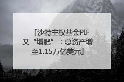 沙特主权基金PIF又“增肥”：总资产增至1.15万亿美元