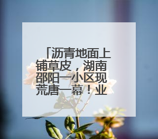 沥青地面上铺草皮，湖南邵阳一小区现荒唐一幕！业主质疑为应付验收