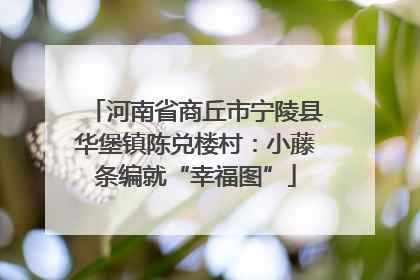 河南省商丘市宁陵县华堡镇陈兑楼村：小藤条编就“幸福图”