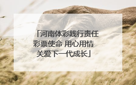 河南体彩践行责任彩票使命 用心用情关爱下一代成长