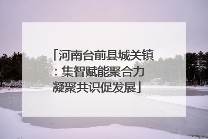 河南台前县城关镇：集智赋能聚合力 凝聚共识促发展
