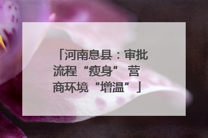 河南息县：审批流程“瘦身” 营商环境“增温”