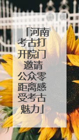 河南考古打开院门 邀请公众零距离感受考古魅力
