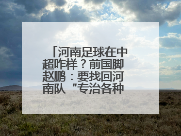 河南足球在中超咋样？前国脚赵鹏：要找回河南队“专治各种不服”的精神