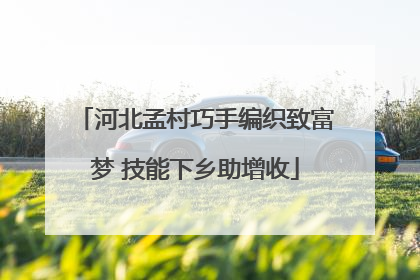 河北孟村巧手编织致富梦 技能下乡助增收