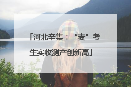 河北辛集：“麦”考生实收测产创新高