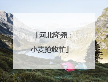 河北隆尧：小麦抢收忙
