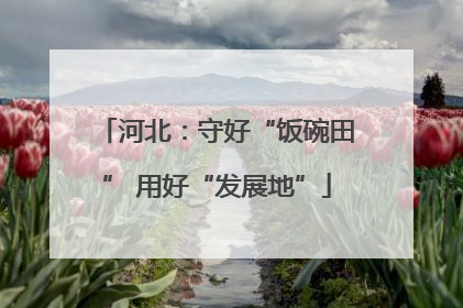 河北：守好“饭碗田” 用好“发展地”