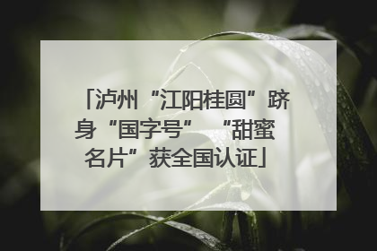 泸州“江阳桂圆”跻身“国字号” “甜蜜名片”获全国认证