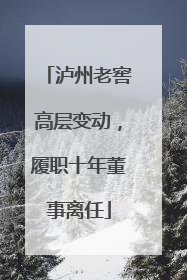 泸州老窖高层变动，履职十年董事离任