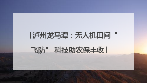 泸州龙马潭：无人机田间“飞防” 科技助农保丰收