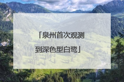 泉州首次观测到深色型白鹭