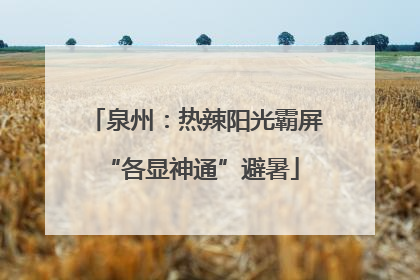 泉州：热辣阳光霸屏 “各显神通”避暑