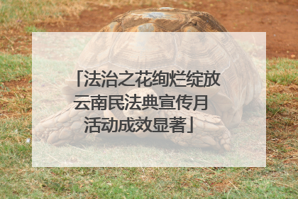 法治之花绚烂绽放 云南民法典宣传月活动成效显著