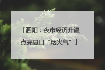 泗阳：夜市经济升温 点亮夏日“烟火气”