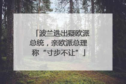 波兰选出疑欧派总统，亲欧派总理称“寸步不让”