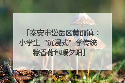 泰安市岱岳区黄前镇：小学生“沉浸式”学传统 粽香荷包暖夕阳
