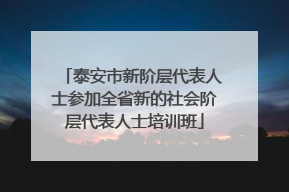 泰安市新阶层代表人士参加全省新的社会阶层代表人士培训班