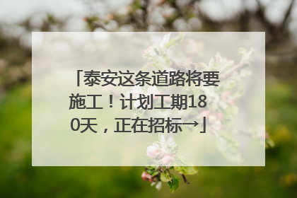 泰安这条道路将要施工！计划工期180天，正在招标→