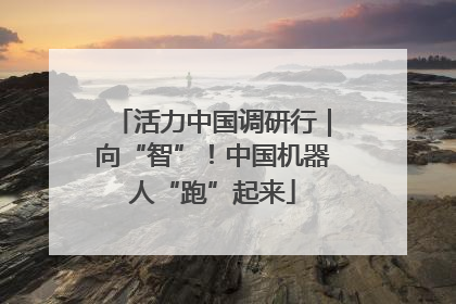 活力中国调研行｜向“智”！中国机器人“跑”起来