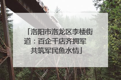 洛阳市洛龙区李楼街道：百企千店齐拥军 共筑军民鱼水情