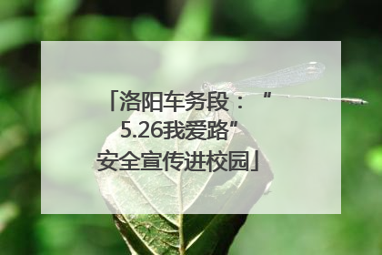 洛阳车务段：“5.26我爱路”安全宣传进校园