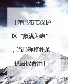 津巴布韦保护区“象满为患”，当局称将扑杀供居民食用
