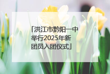 洪江市黔阳一中举行2025年新团员入团仪式