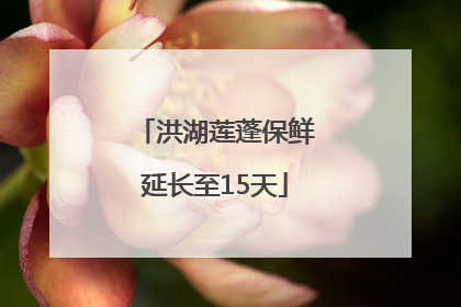 洪湖莲蓬保鲜延长至15天