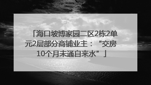 海口坡博家园二区2栋2单元2层部分商铺业主：“交房10个月未通自来水”
