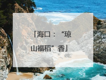 海口：“琼山福稻”香