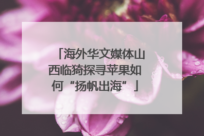 海外华文媒体山西临猗探寻苹果如何“扬帆出海”